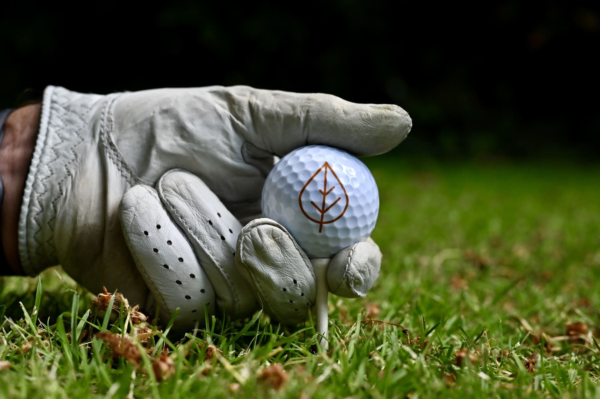 golfbal
