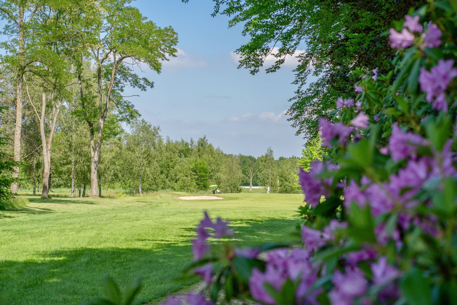 hole 10