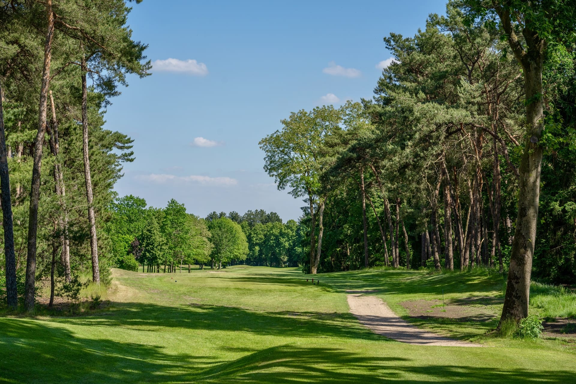 hole 15