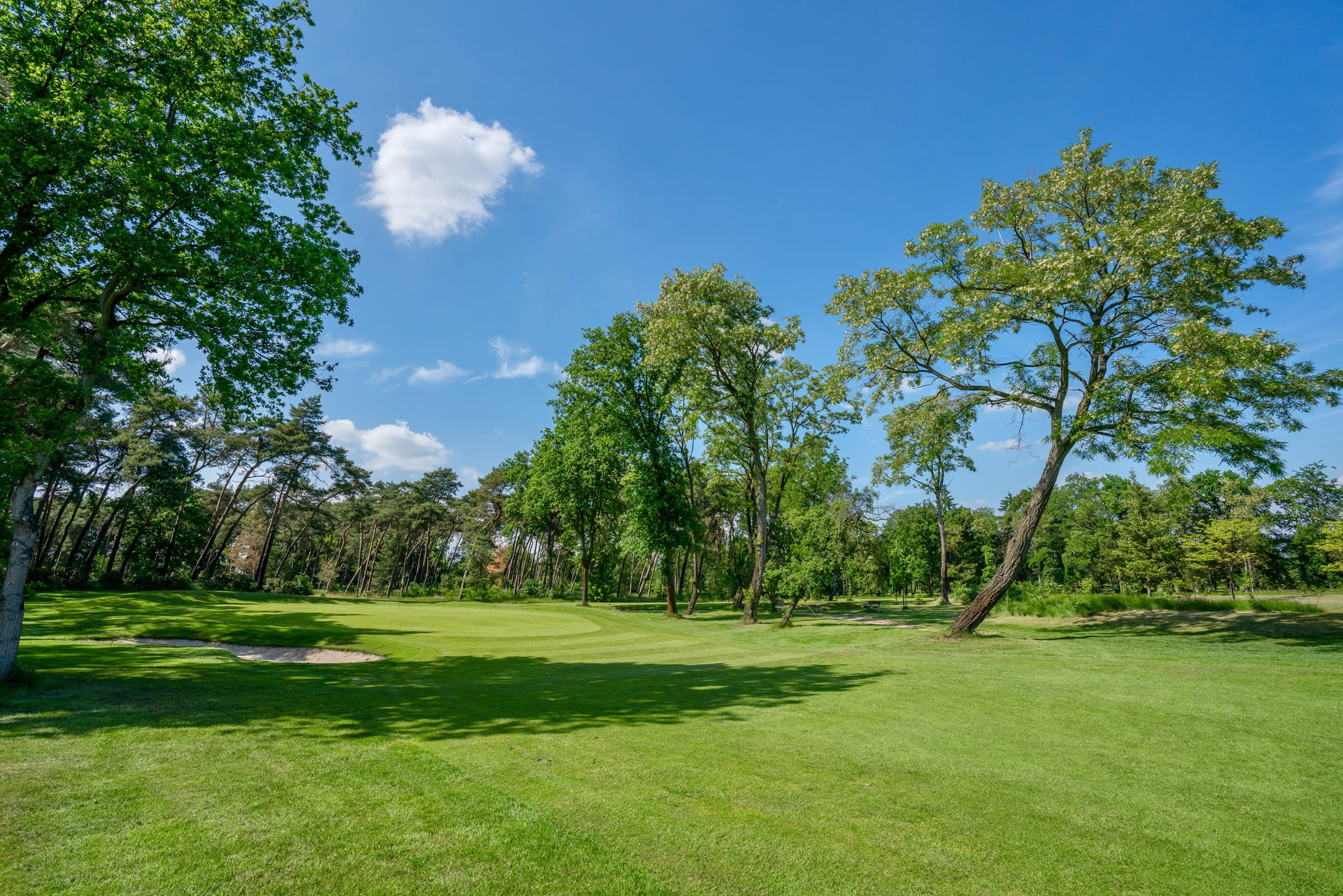 hole 16
